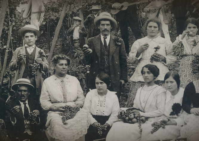 Screenshot 2025-12-16 at 11-08-41 a História Alves de Sousa